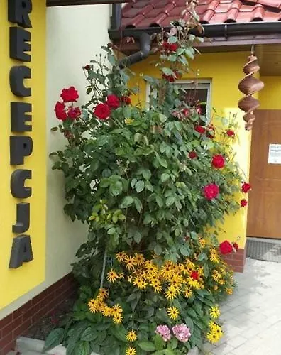 Pod Brzozami - Pokoj 2-osobowy Z Udogodnieniami Dla Niepelnosprawnych Gasthof Ustronie Morskie